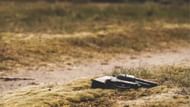 A pattern of calculated brutality (Image via Unsplash)